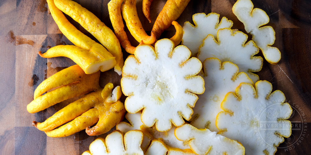 Buddha’sHandCitronslicedbanner diversivore