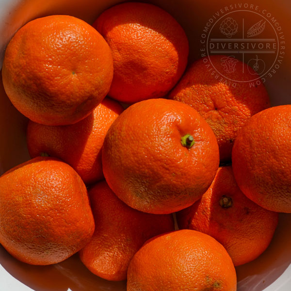 Seville (Bitter) Orange diversivore