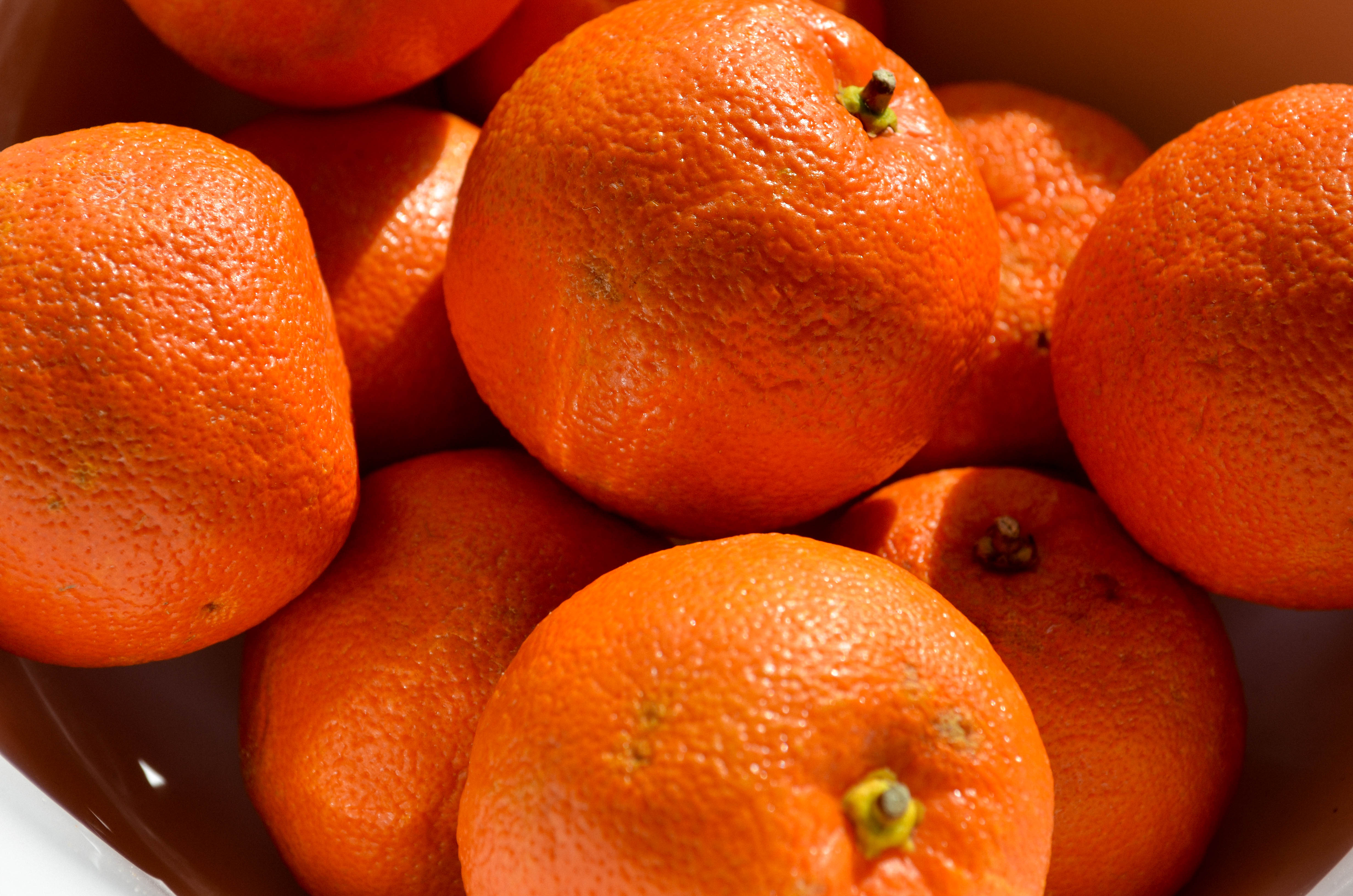 Backpage Orange Co