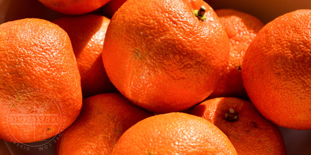 Orange-Bitter-Header-tester-1024x512.jpg