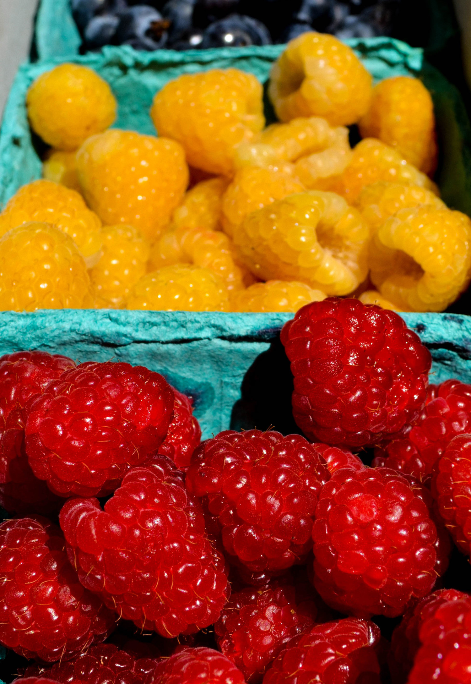 Diversivore background image showing a variety of fruits (raspberries and blueberries) in baskets.