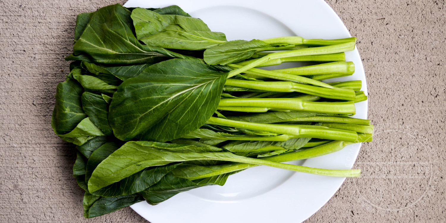 Choy sum bunch on a white plate - Diversivore.com