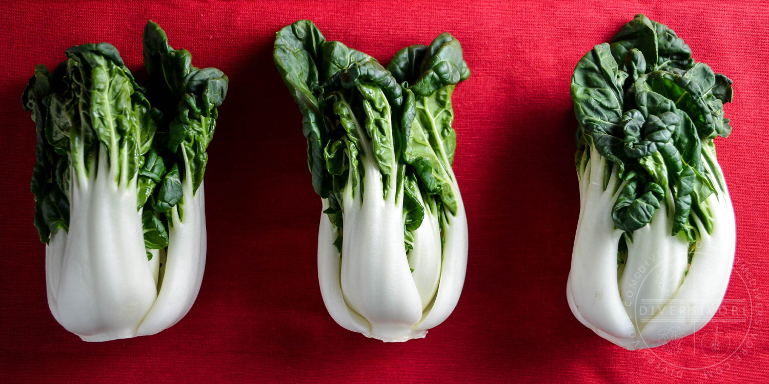 Bok Choy on a red background - Diversivore.com