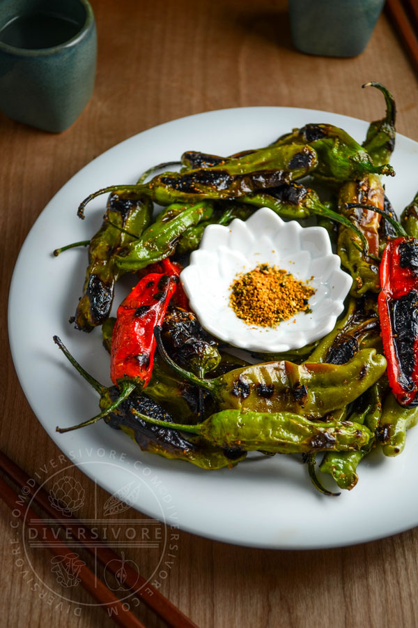 Charred shishito peppers with a sweet and spicy shichimi togarashi glaze on a white plate