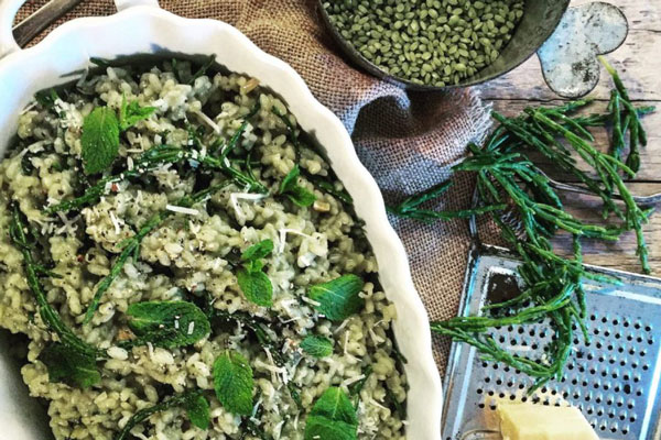 Green risotto of bamboo rice and sea asparagus