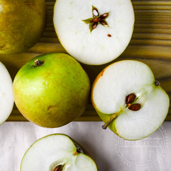 Ashmead's kernel apples, whole and sliced, on a wooden background