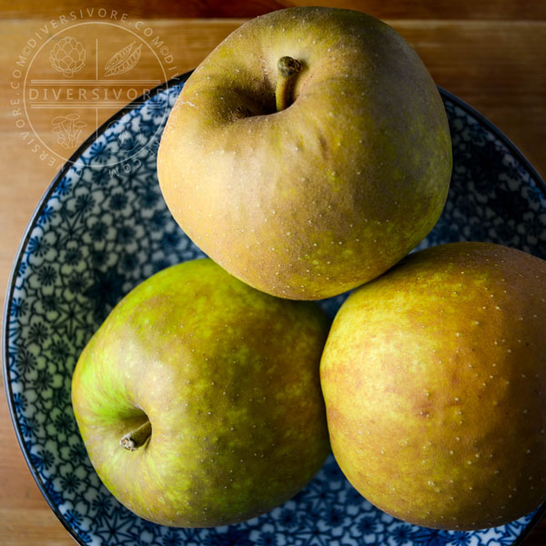 Three belle de boskoop apples in a blue and white bowl