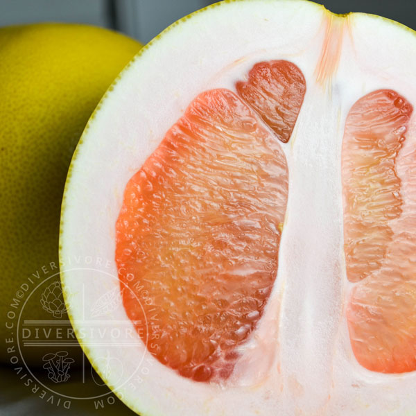 Pink pomelo cross section