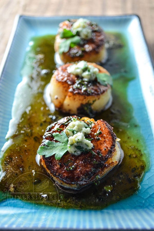 Seared scallops with a honey-parsley gastrique and blue cheese