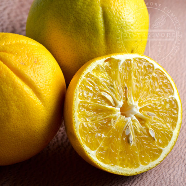 duncan grapefruit seeds