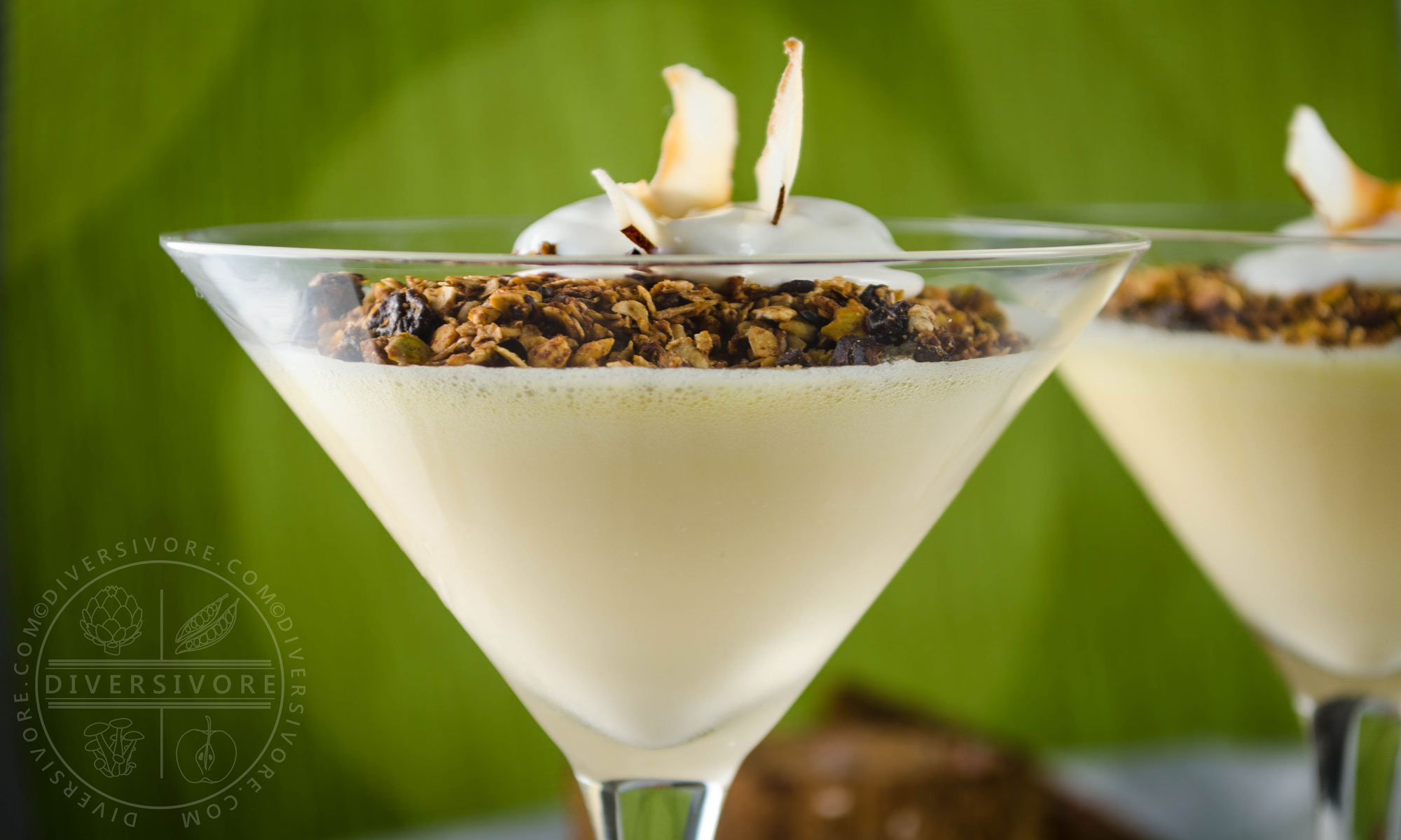 Dairy-free Coconut Lime Mousse in a martini glass, topped with toasted coconut and homemade granola