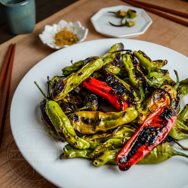 Charred shishito peppers with a sweet and spicy shichimi togarashi glaze on a white plate