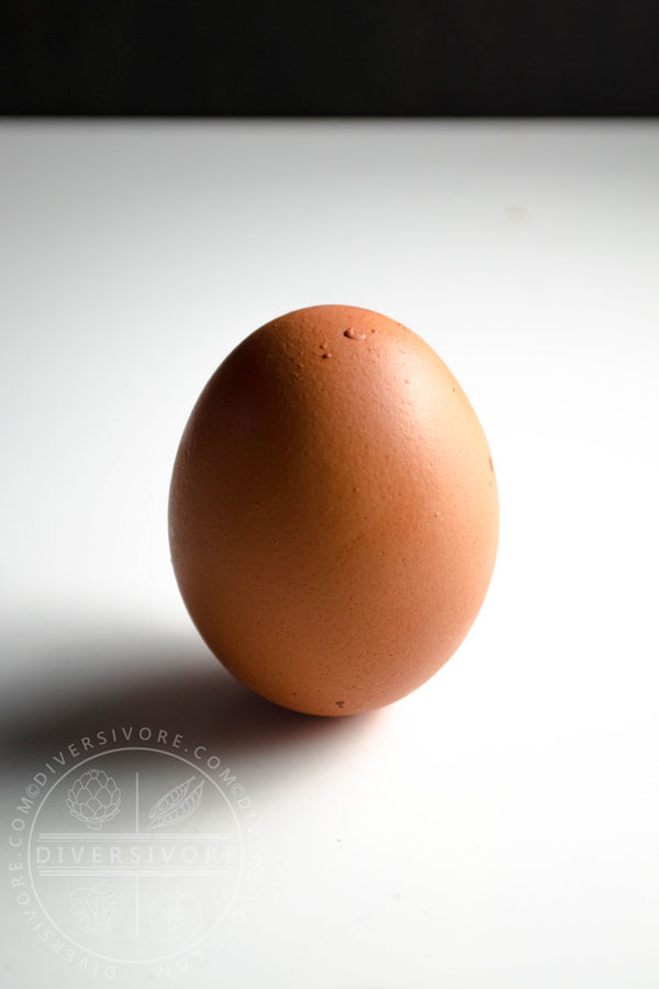 A single brown egg balancing on its end on a white table top.