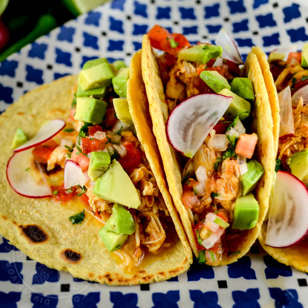 Chicken tinga in tacos with avocado, radish, and salsa