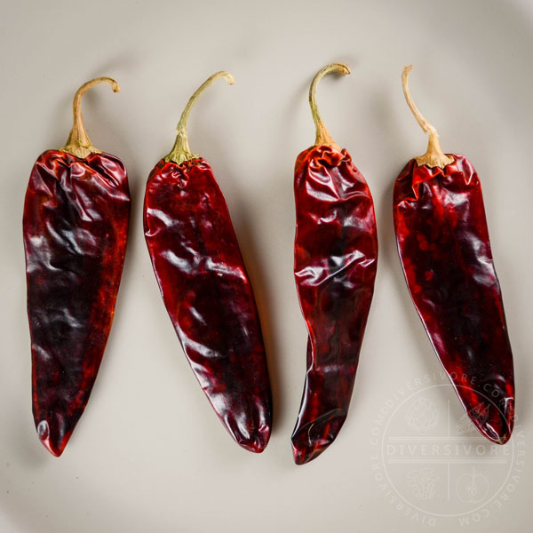 Four guajillo chilies lined up on a tan background