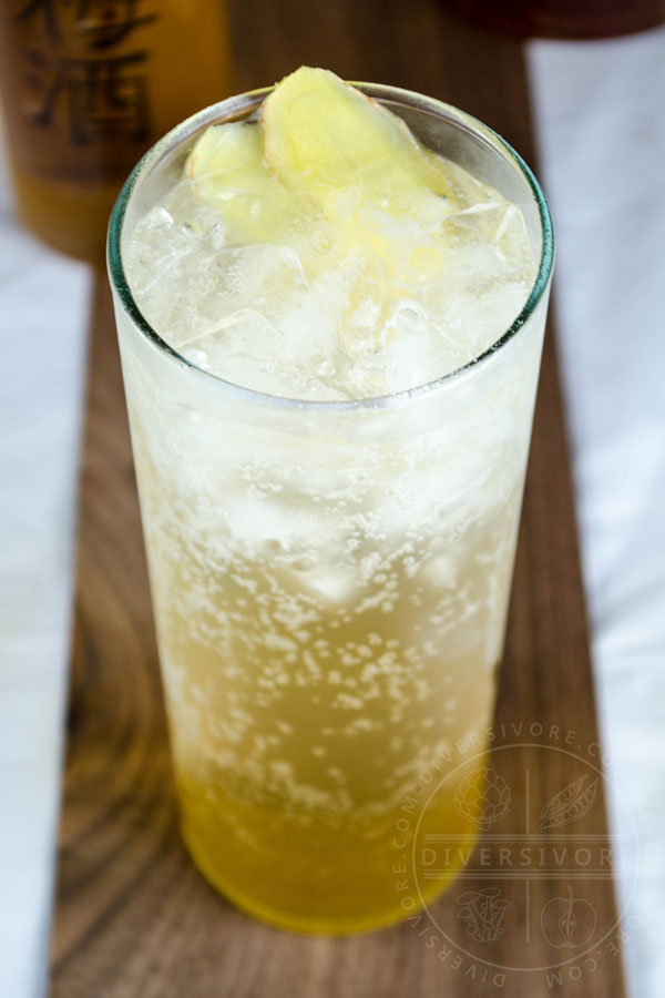 Ume Highball - a Whisky & Umeshu cocktail with ginger, shown in a tall highball glass