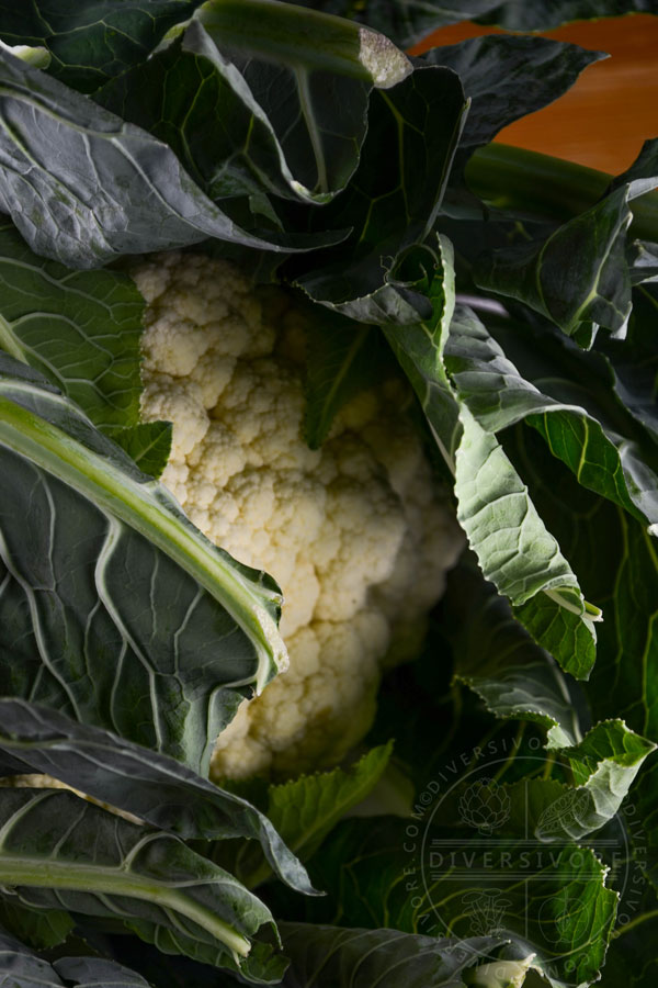 A head of cauliflower showing the large, prominent leaves