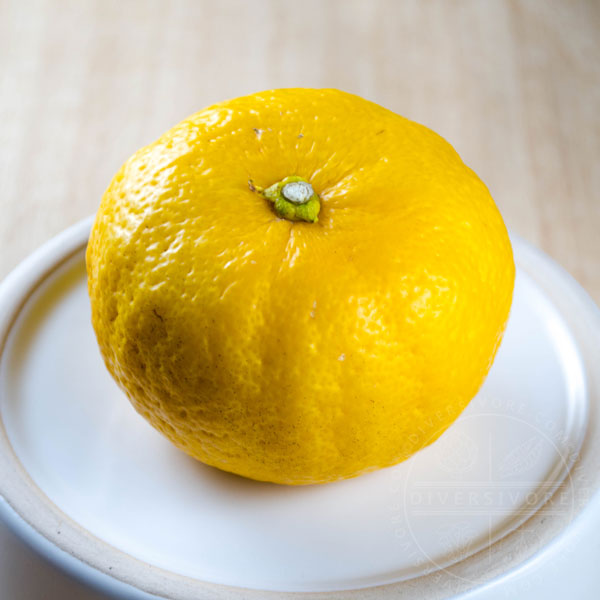 Yuzu fruit on a plate