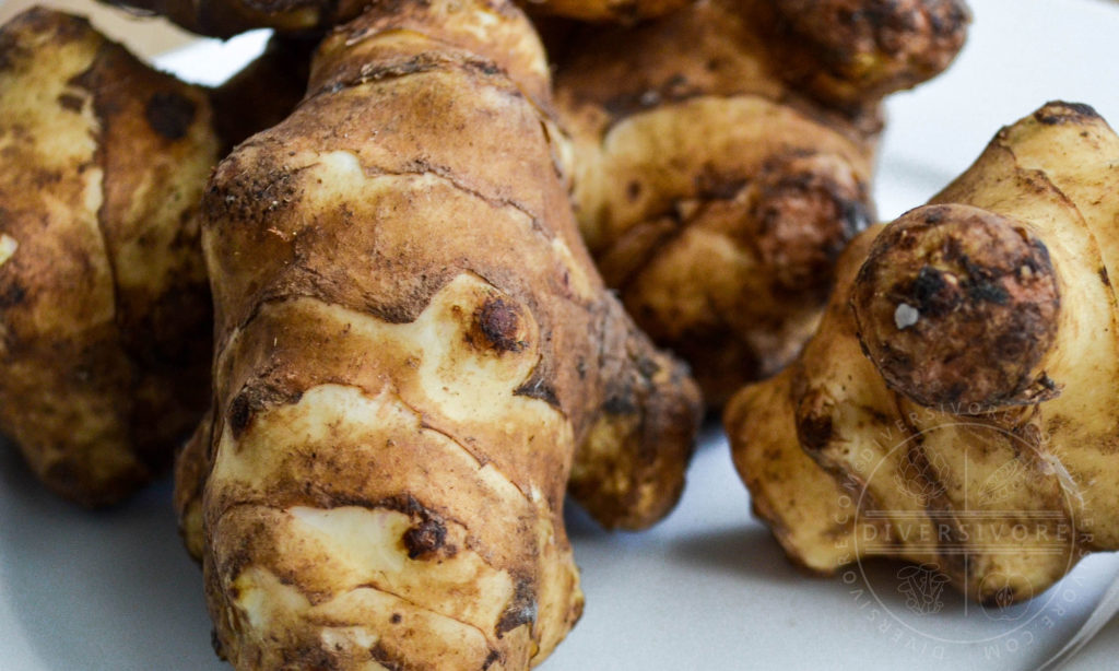 Jerusalem Artichokes How to Choose & Use Them diversivore