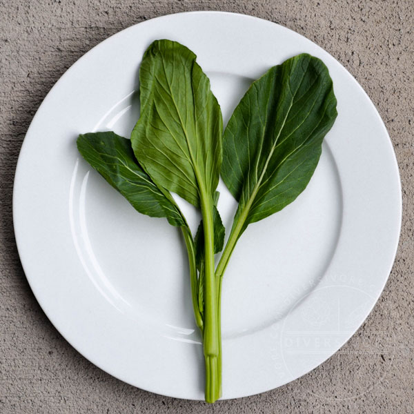 A stem of choy sum (aka yu choy sum) on a white plate