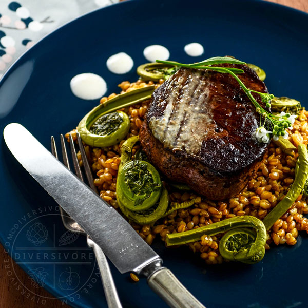 Seared beef tenderloin medallions with simmered einkorn (heirloom wheatberries), sauteed fiddleheads, and a horseradish-yogurt cream on a dark blue plate with a fork and knife