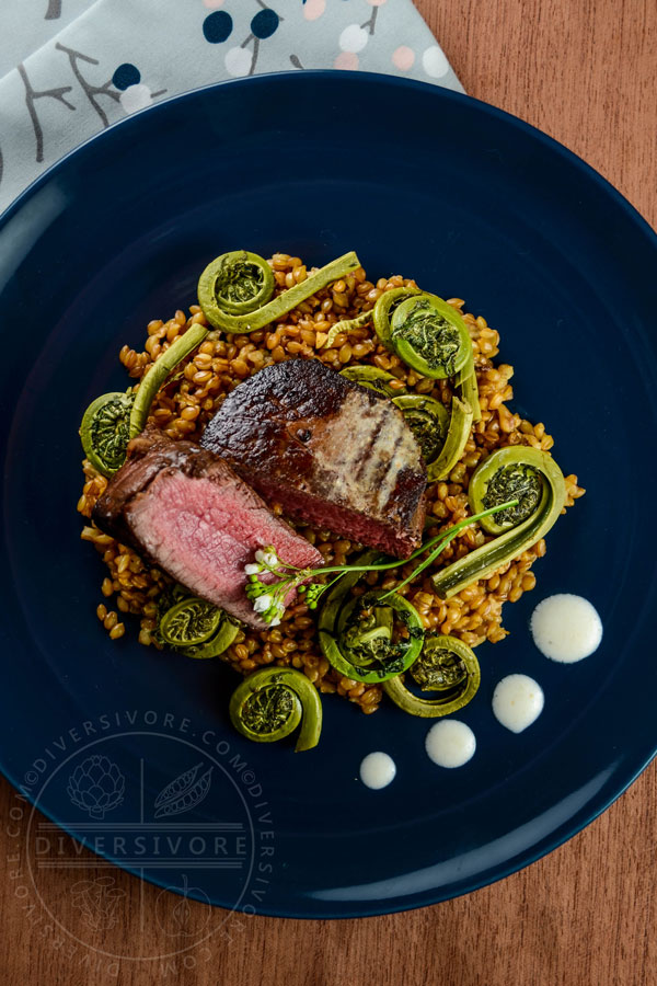 Seared beef tenderloin medallions with simmered einkorn (heirloom wheatberries), sauteed fiddleheads, and a horseradish-yogurt cream on a dark blue plate