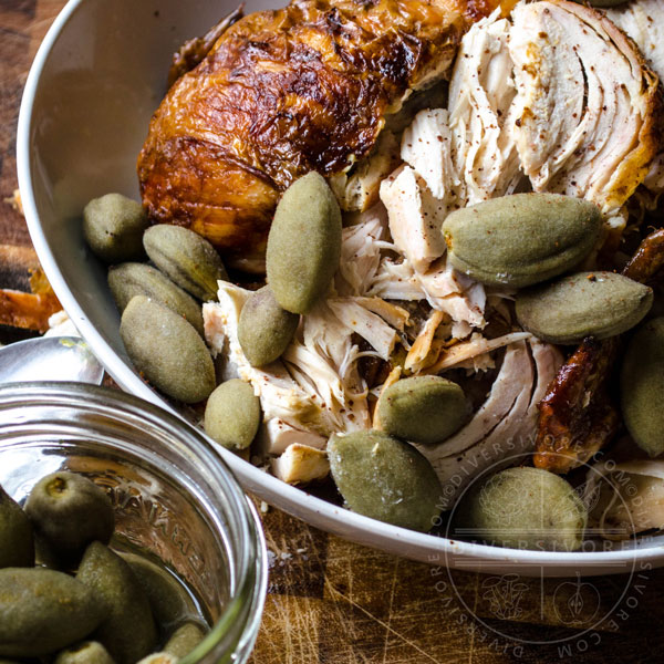 Pickled green almonds with roast chicken in a large white bowl