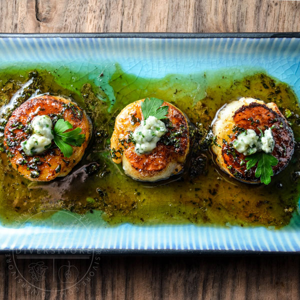 Seared scallops with a honey-parsley gastrique and blue cheese