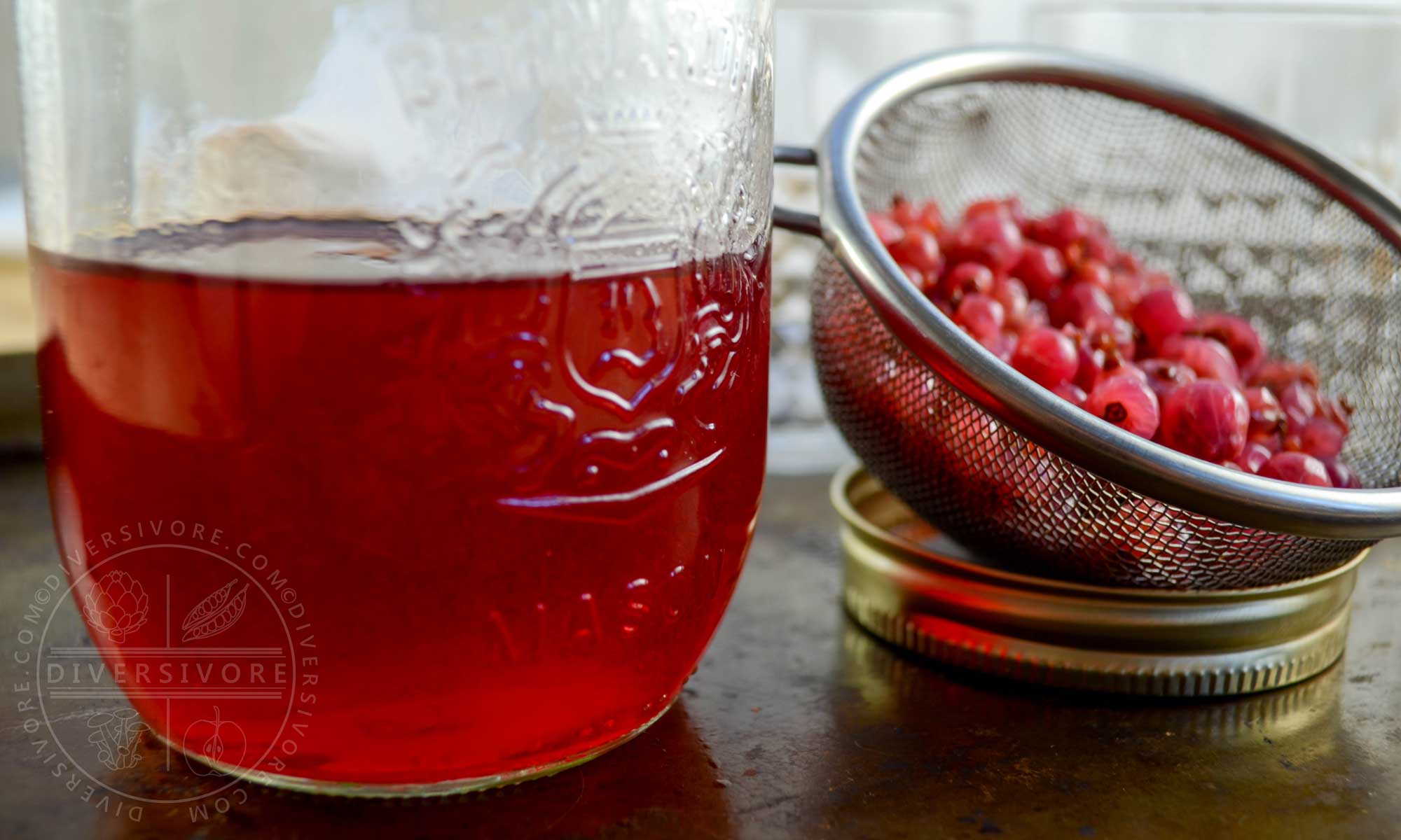 Red currant gin in a mason jar, shown beside a mesh strainer filled with leftover currants