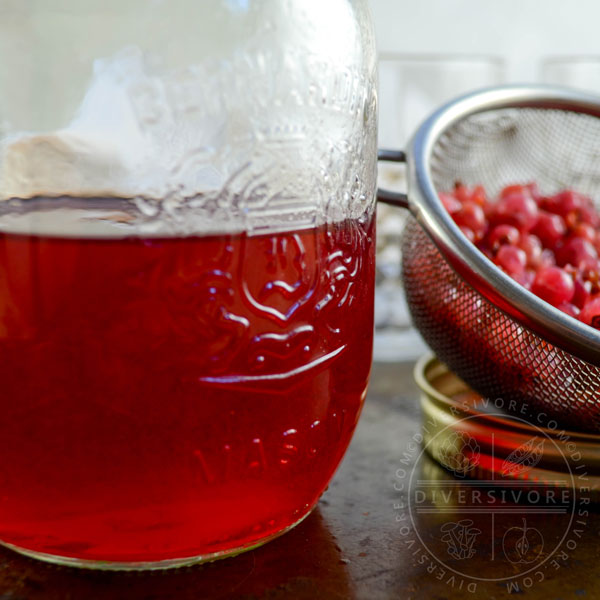 Redcurrant gin in a mason jar, shown beside a mesh strainer filled with leftover currants