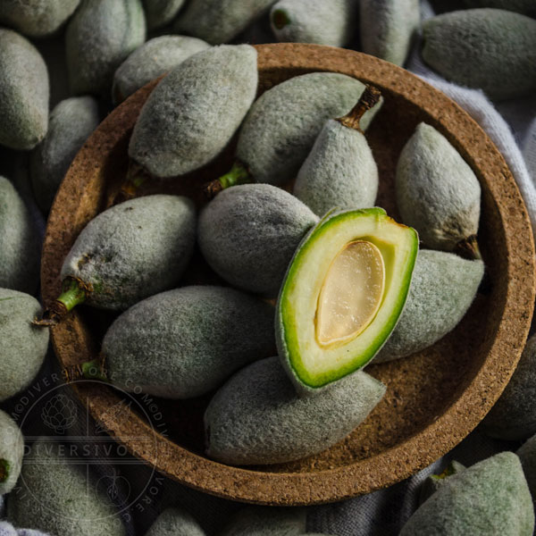 Green almonds in a cork dish