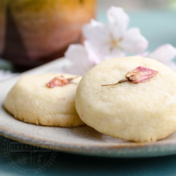 Sakura Sabure - Cherry blossom shortbread cookies on a sand-coloured plate with a tea cup