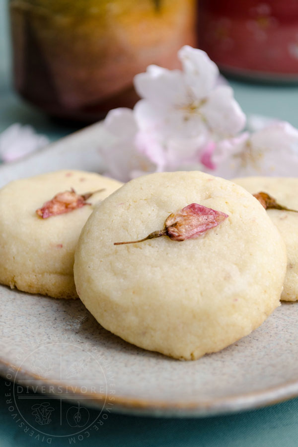 Sakura Sabure - Cherry blossom shortbread cookies on a sand-coloured plate with a fresh cherry blossom garnishes