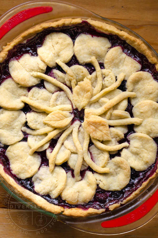 Blueberry Cherry Pie with a decorative pastry crust