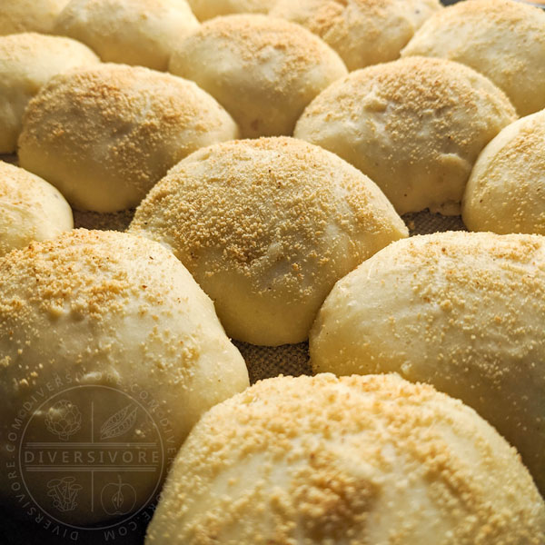 Sourdough pandesal buns on a tray