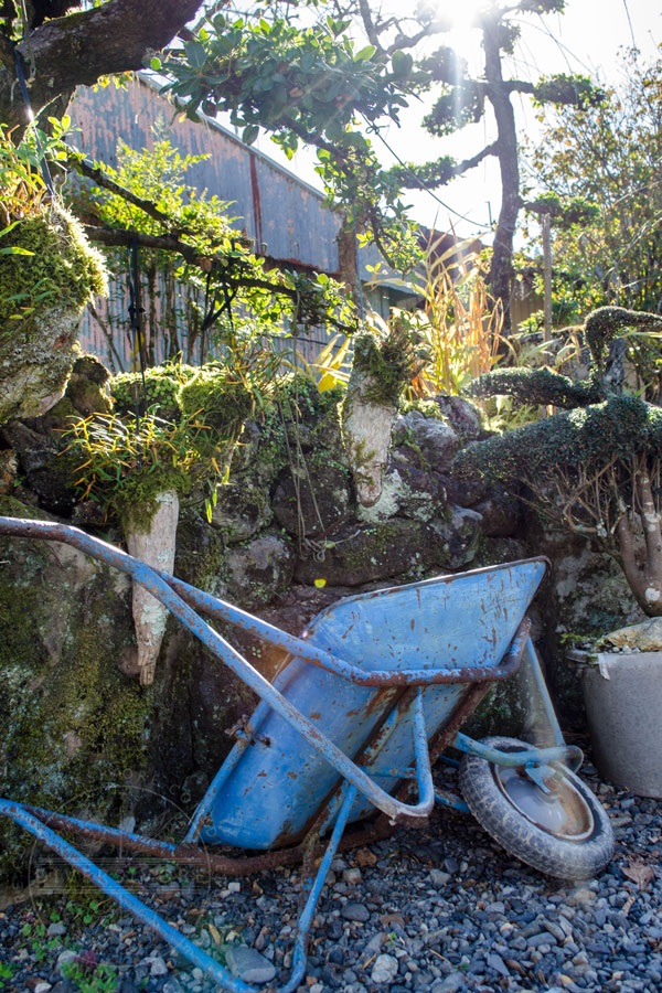 A blue wheelbarrow in a small garden between buildings in Umaji, Kochi, Japan