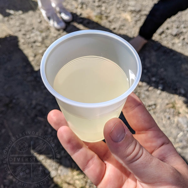 Gokkun - a sweet beverage made with yuzu juice, honey, and water