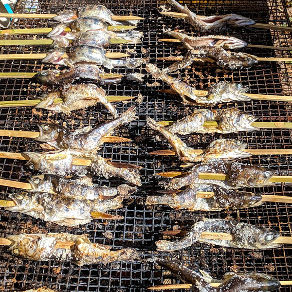 Grilled Ayu (Sweetfish) on skewers in Umaji, Kochi, Japan