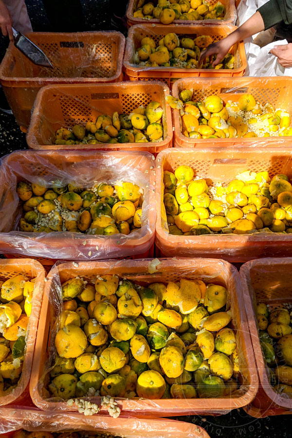 Pressed yuzu fruits leftover from juicing at the Yuzu Hajimaru Festival, Kochi, Japan