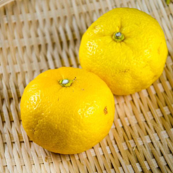 Yuzu fruits in a bamboo basket