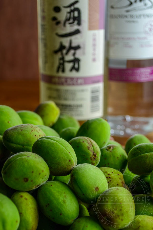 Green apricots, sake, and vodka for making an adapted umeshu recipe