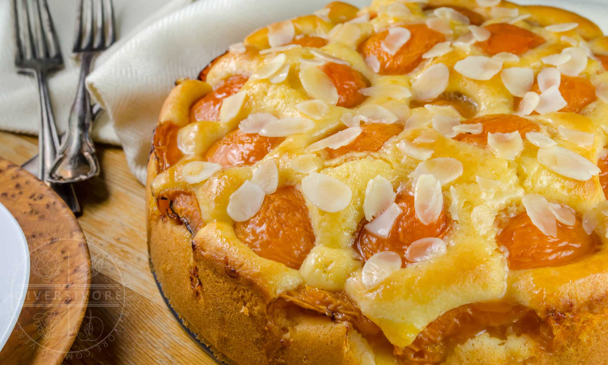 Featured image for “Aprikosenkuchen – German Apricot Cake”