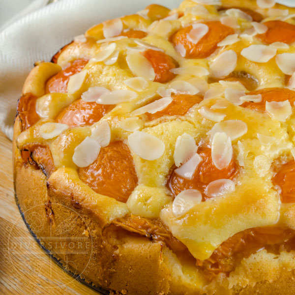 Orange Polenta Cake with Dried Apricot Compote — salt onion moon