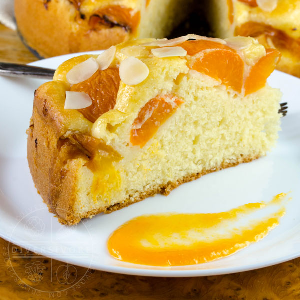 A slice of Aprikosenkuchen (German Apricot Cake) with apricot puree