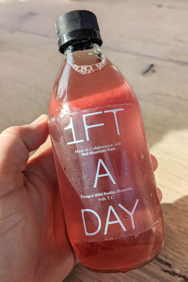 1 Ft a Day Kombucha from Harvest Roots Ferments, Birmingham, Alabama