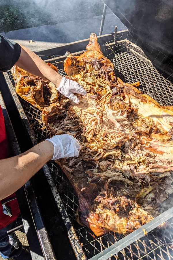 Whole hog barbecue being converted into pulled pork