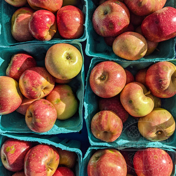 Yates apples in baskets