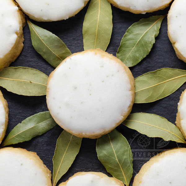 Bayleaf and lemon shortbread cookie surrounded by a circle of bay leaves