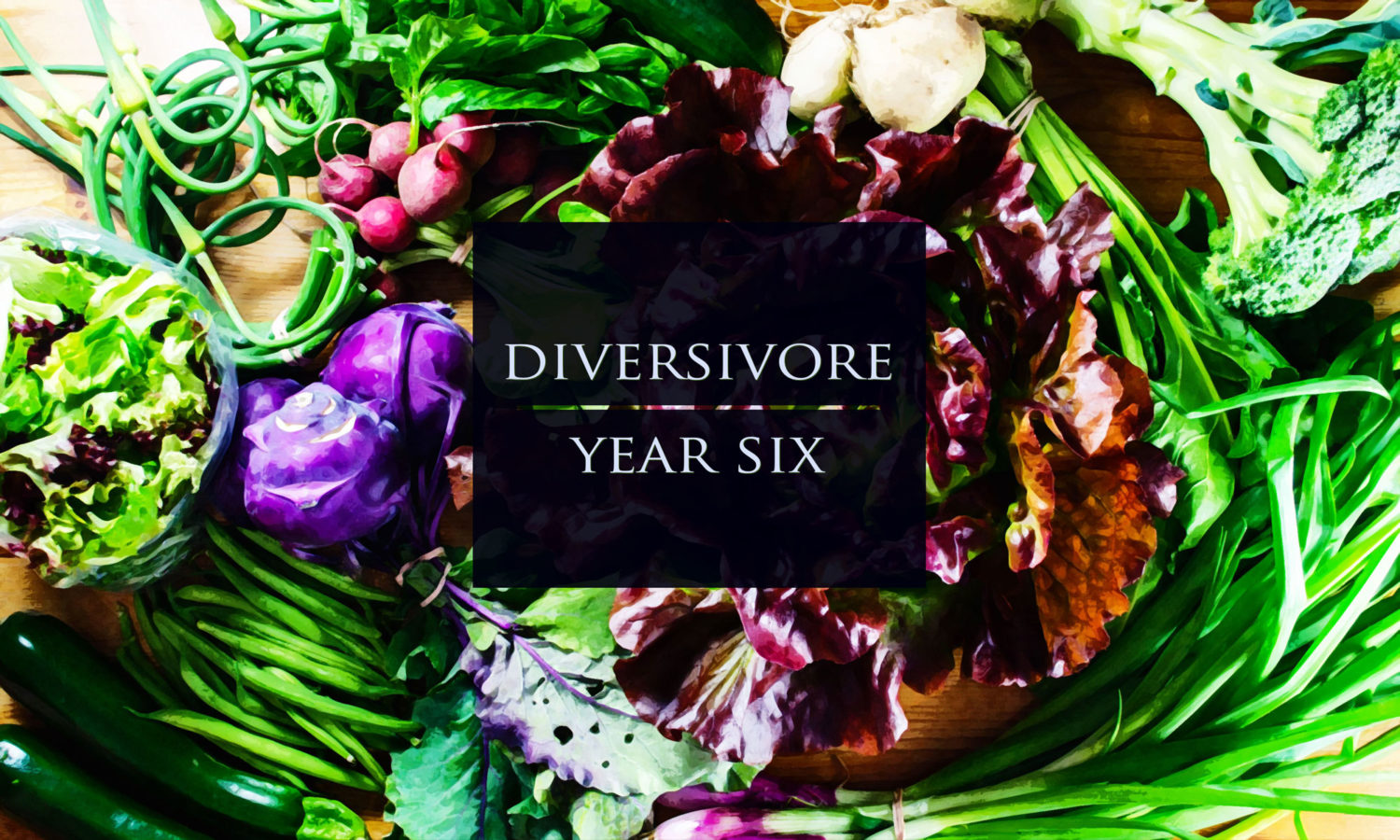 Diversivore Year 6 banner image