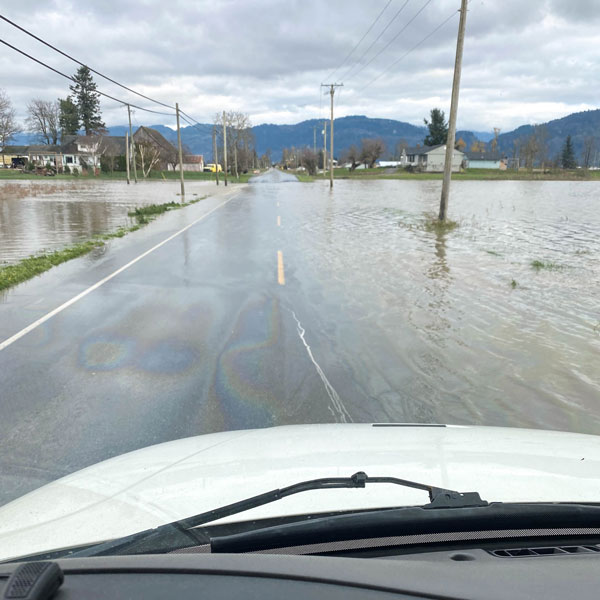 Flooding at farms in the Fraser River Valley in 2021
